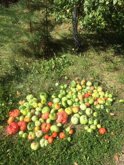 Дача 73 м² на участке 6 сот.