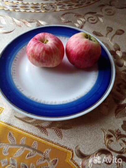 Яблоки и сок из них