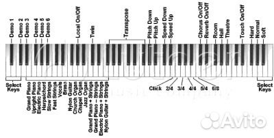 Цифровое пианино Stage-Starter-Black-Satin, Orla