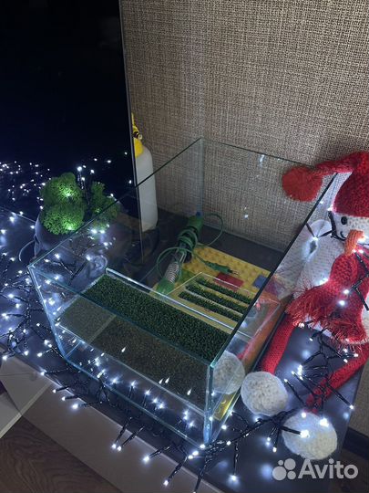 Аквариум террариум для черепахи