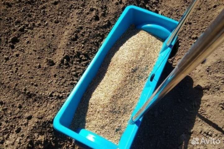 Газон под ключ