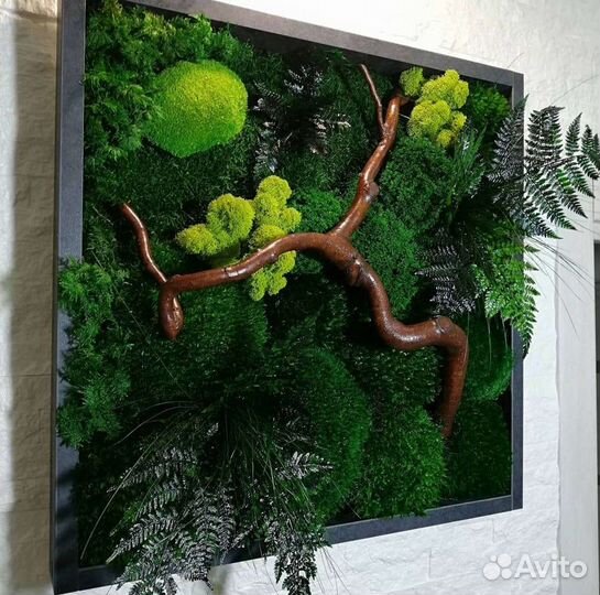 Фитокартина панно из мха картина из мха со мхом