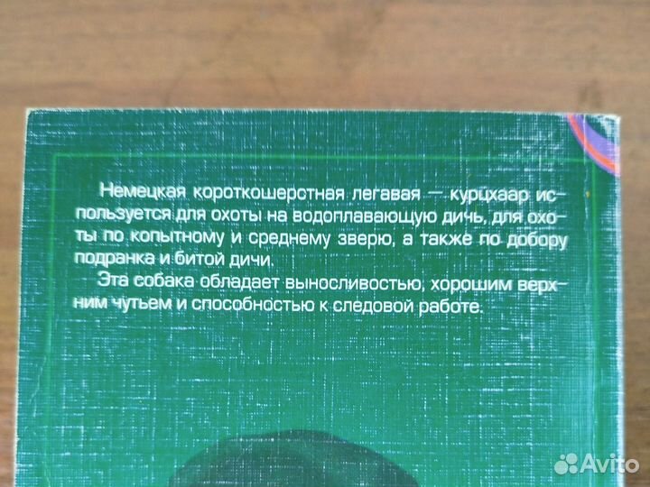 Курцхаар. П. Тупицын. 2001г