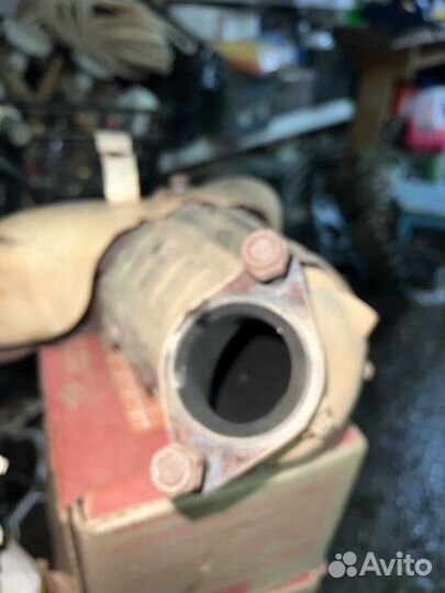 Паук вырезаный кат на solaris 1