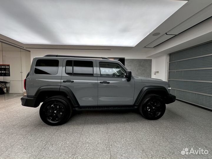 Tank 300 2.0 AT, 2024