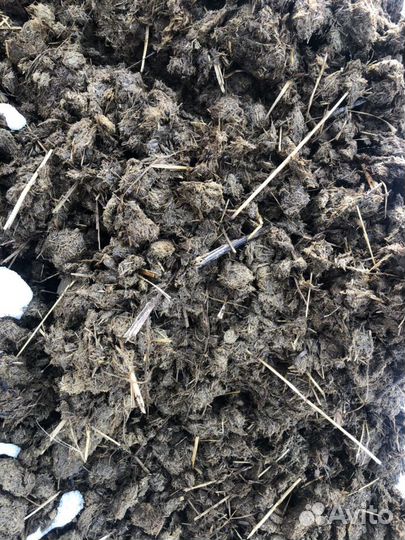 Конский навоз