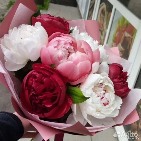 Букет свежих пионов