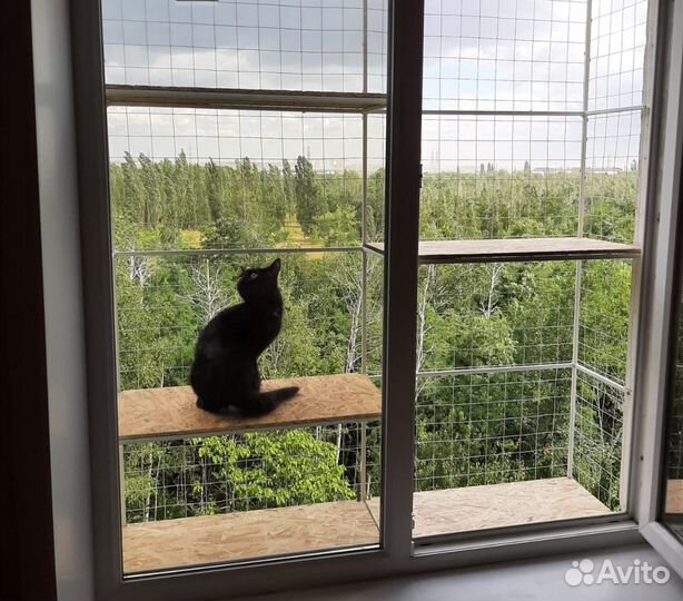 Балкон для кошек и собак