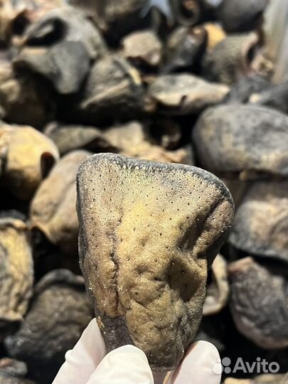 Губы говяжьи сушеные