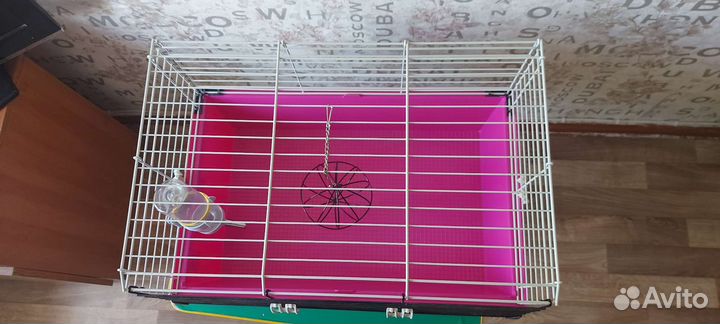 Клетка для грызунов бу