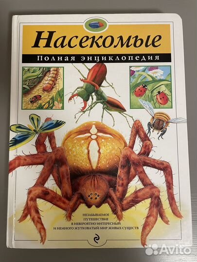 Энциклопедия для детей