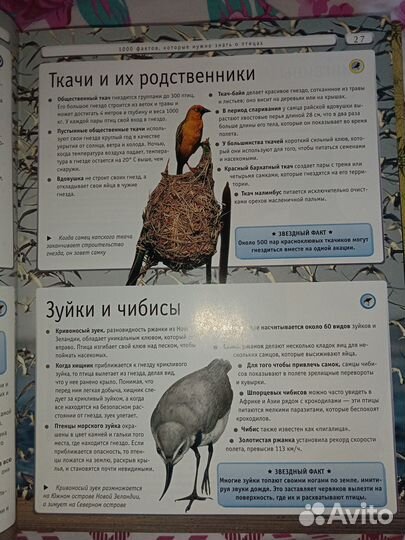 Олма Энциклопедия. Животный мир