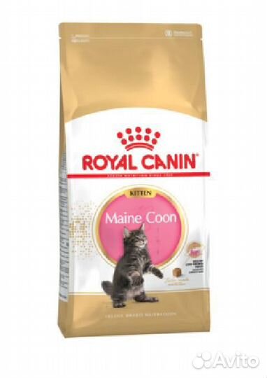 Royal Canin RC Для котят Мейн-кун: 4-15мес. (Kitte