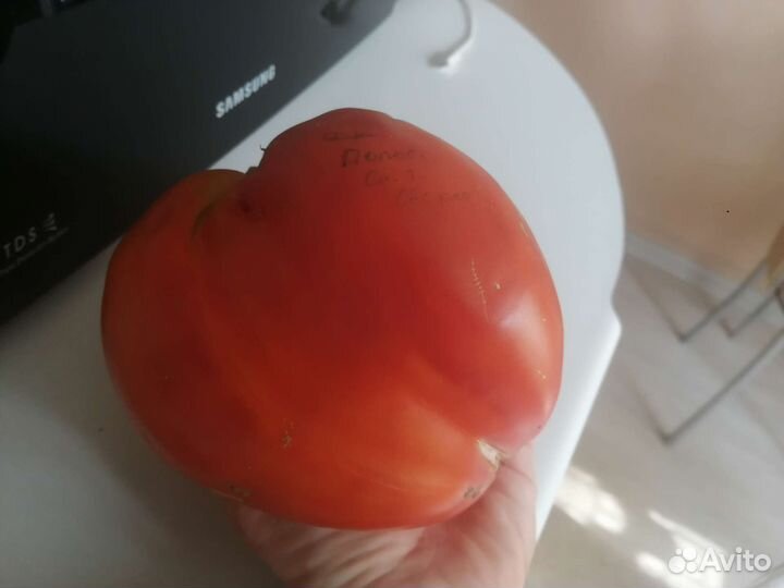 Семена томата
