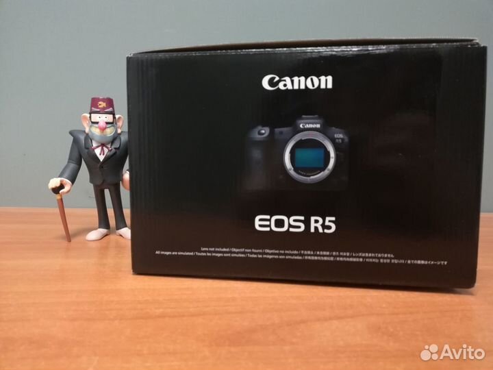 Фотоаппарат Canon EOS R5 Mirrorless /Рус меню
