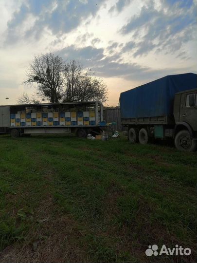 Прицеп пчеловоз, 1994