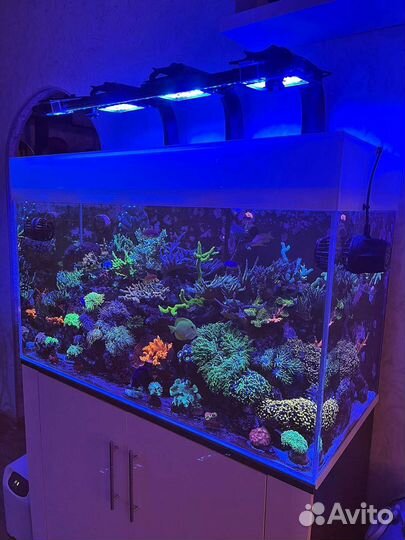 Морской аквариум 465 литров