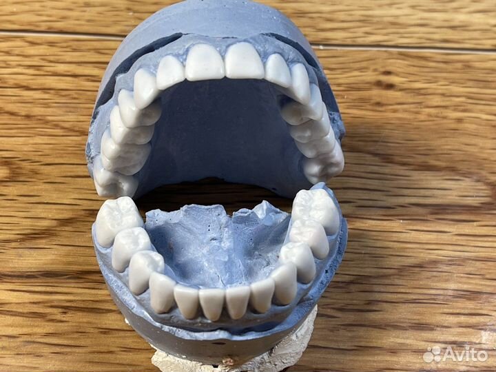 Зубной техник