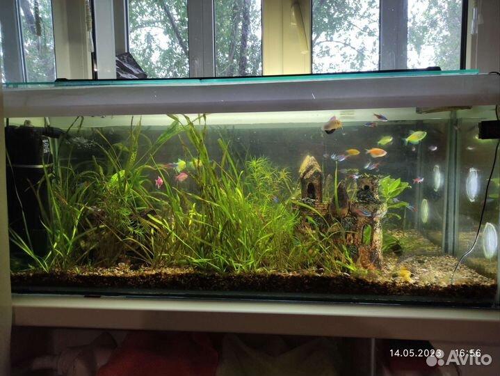 Аквариум