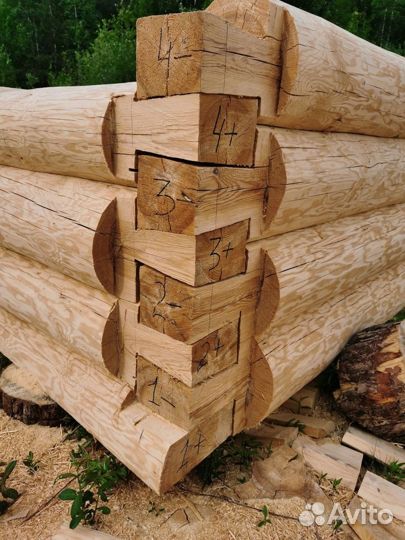 Сруб дома из бревна