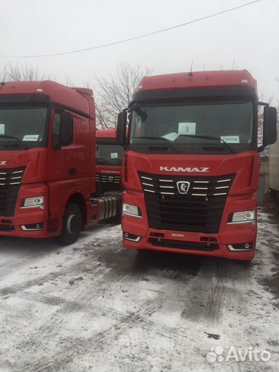 Отключение мочевины Камаз 54901(К5) и 5490(К4)