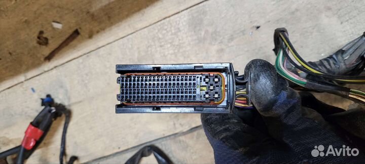 Проводка коса Nissan Primera P12 седан 1,6 МКПП