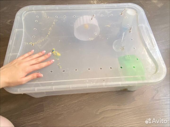 Контейнер для хомяка