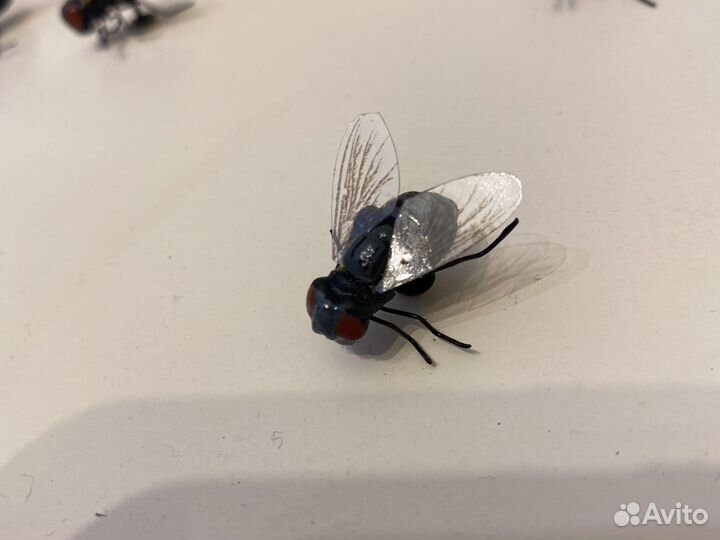 Насекомые реалистические Нидерланды