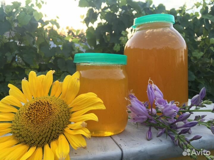 Продажа меда