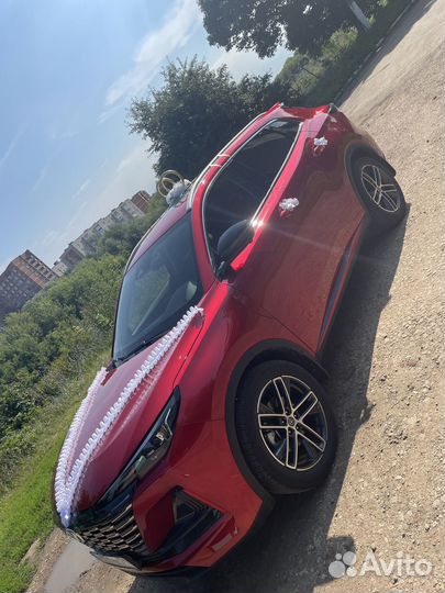 Катание свадеб