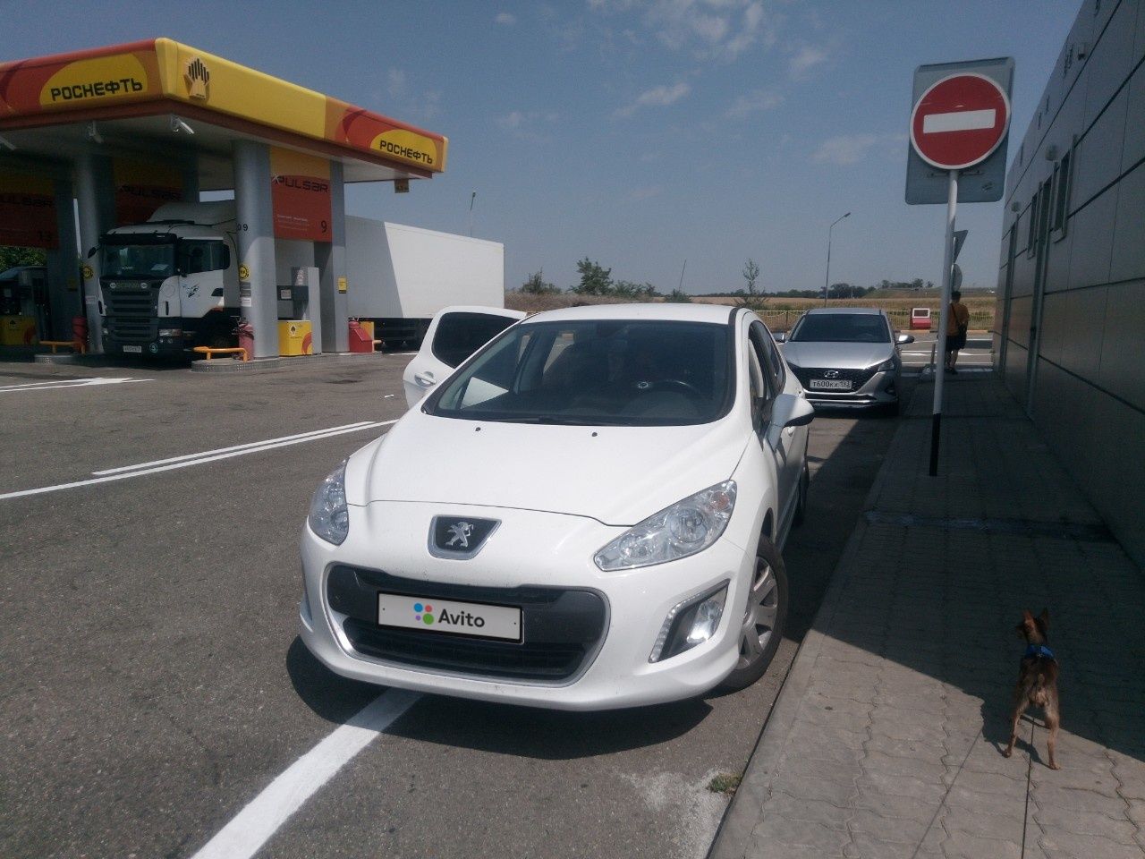 Peugeot 308: фото владельца