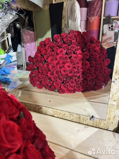 101 роза 51 25 шикарный букет из роз