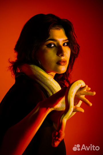 Рептилии (удавы питоны полозы змеи) для фотосессии