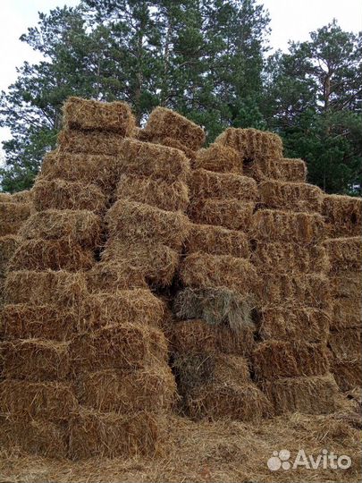 Сено в рулонах и тюках.Солома пшеничная в тюках