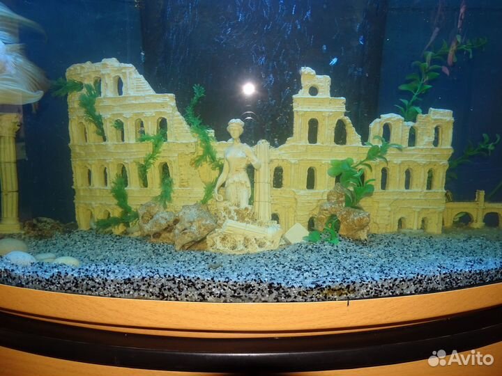 Аквариум 180 литров (Италия) с тумбой