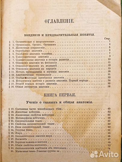 1874. Руководство к анатомии человеческого тела