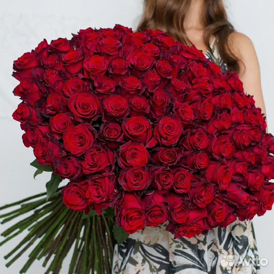 Розы сорт Эксплорер (Красные) Розы оптом
