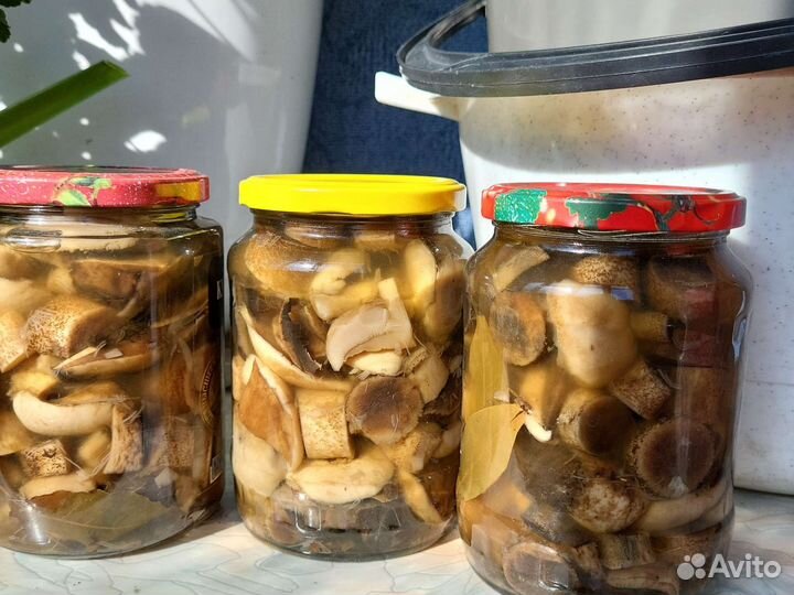 Грибы маринованные премиум, (цена от емкости)