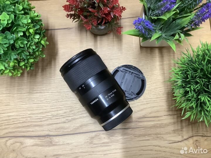 Tamron 28-75 mm f/2.8 Di III RXD Sony E