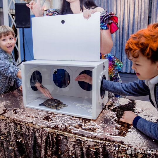 Шоу Треш коробка Квест Форт Боярд