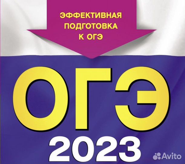 Репетитор по информатике