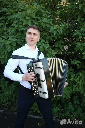 Баянист на праздник