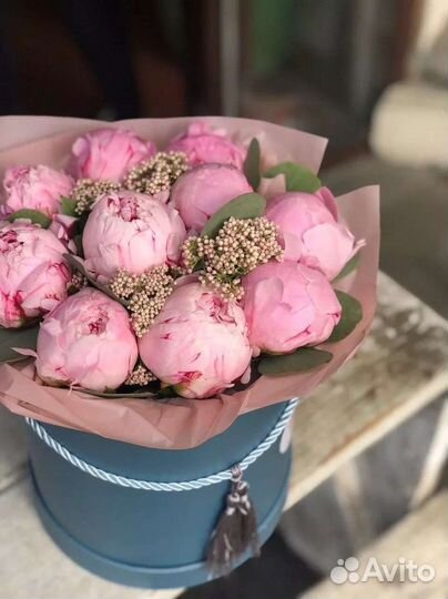 Пионы Нидерланды