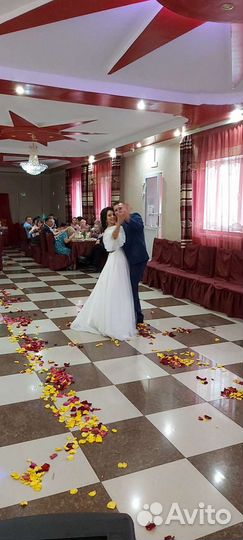 Ведущая, тамада, музыкант, Чита