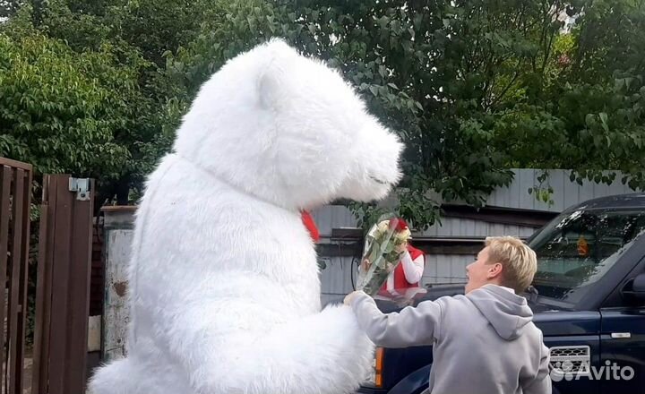 Умка поздравляет