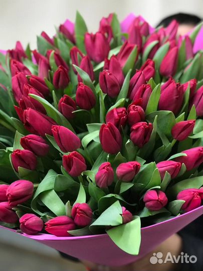 Цветы тюльпаны букеты живые цветы с доставкой
