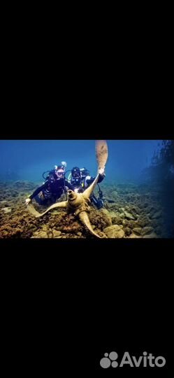 Дайвинг Сочи/Адлер