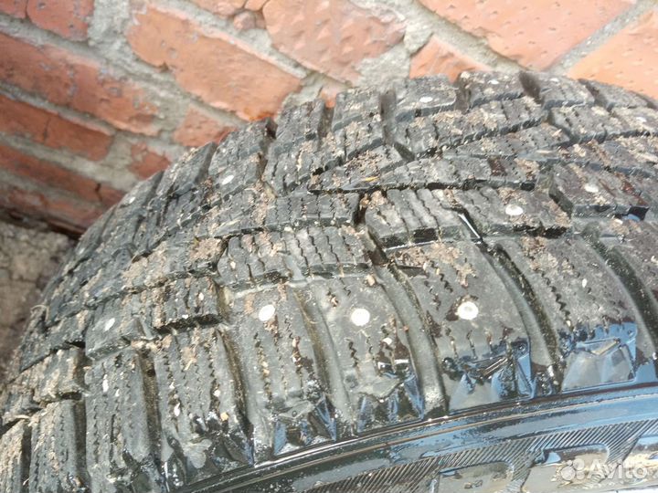 Roadstone Winguard 205/55 R16 20B