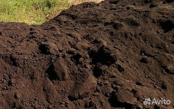Чернозем грунт