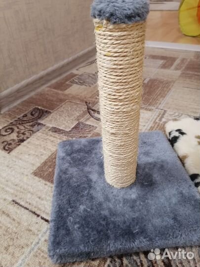 Когтеточка